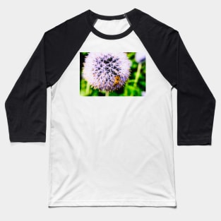 Bee On Small Globe Thistle 6 Baseball T-Shirt